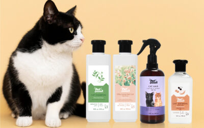 The Best Cat Shampoo for You!